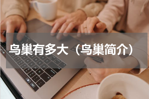 鸟巢有多大（鸟巢简介）