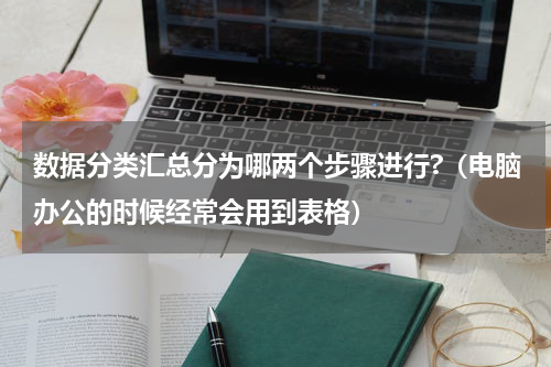 数据分类汇总分为哪两个步骤进行?（电脑办公的时候经常会用到表格）
