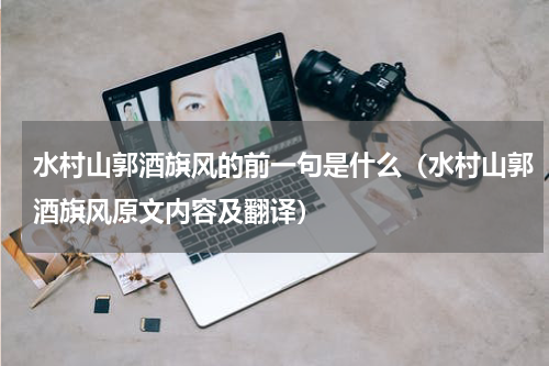 水村山郭酒旗风的前一句是什么（水村山郭酒旗风原文内容及翻译）