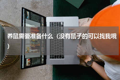 养鼠需要准备什么（没有鼠子的可以找我哦）
