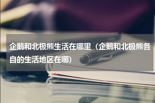 企鹅和北极熊生活在哪里（企鹅和北极熊各自的生活地区在哪）