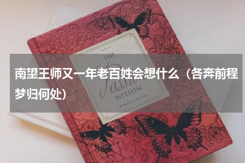 南望王师又一年老百姓会想什么（各奔前程梦归何处）