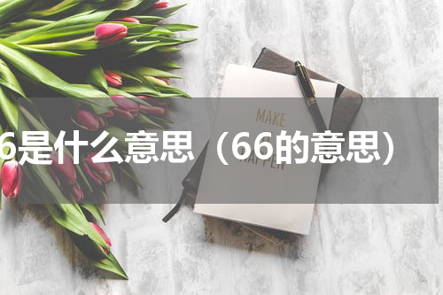 66是什么意思（66的意思）