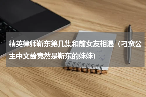 精英律师靳东第几集和前女友相遇（刁蛮公主中文蔷竟然是靳东的妹妹）