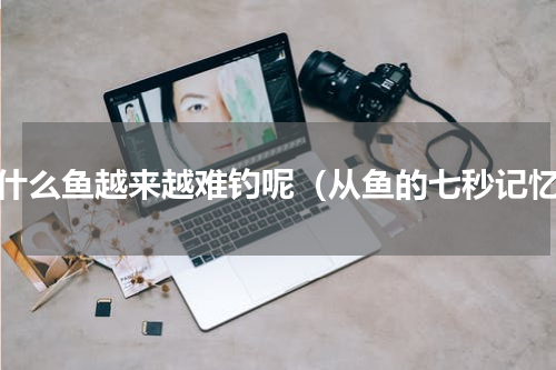 为什么鱼越来越难钓呢（从鱼的七秒记忆）