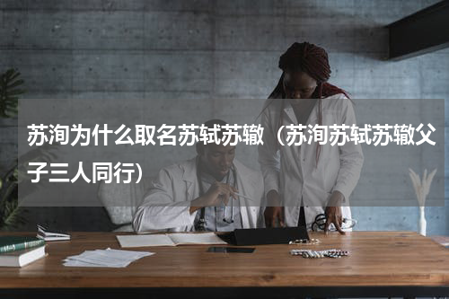 苏洵为什么取名苏轼苏辙（苏洵苏轼苏辙父子三人同行）
