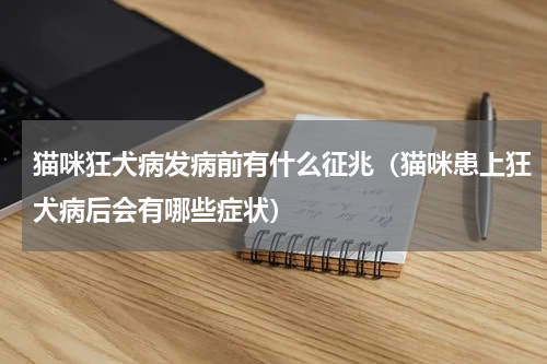 猫咪狂犬病发病前有什么征兆（猫咪患上狂犬病后会有哪些症状）