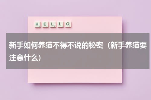 新手如何养猫不得不说的秘密（新手养猫要注意什么）