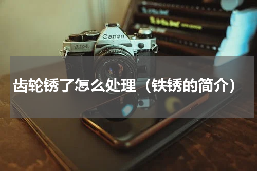 齿轮锈了怎么处理（铁锈的简介）