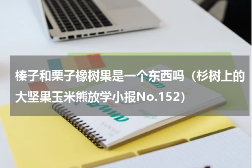 榛子和栗子橡树果是一个东西吗（杉树上的大坚果玉米熊放学小报No.152）
