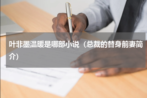 叶非墨温暖是哪部小说（总裁的替身前妻简介）