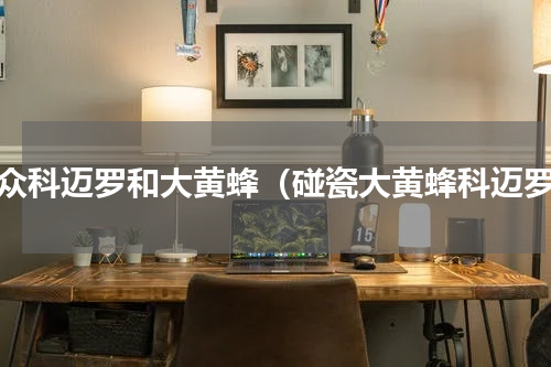 大众科迈罗和大黄蜂（碰瓷大黄蜂科迈罗）