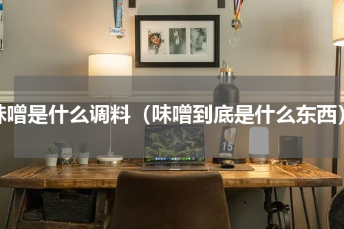味噌是什么调料（味噌到底是什么东西）