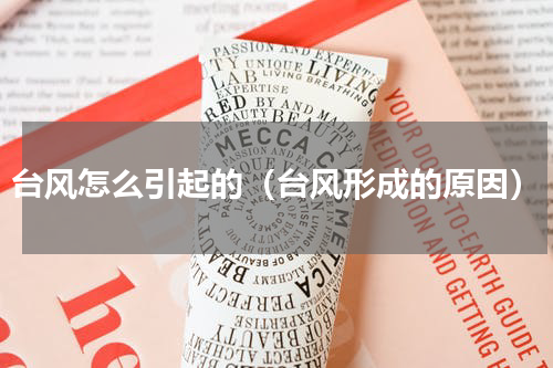 台风怎么引起的（台风形成的原因）