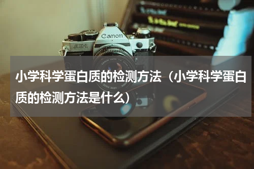 小学科学蛋白质的检测方法（小学科学蛋白质的检测方法是什么）