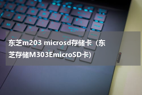 东芝m203 microsd存储卡（东芝存储M303EmicroSD卡）