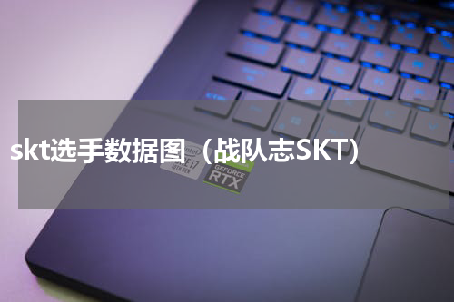 skt选手数据图（战队志SKT）