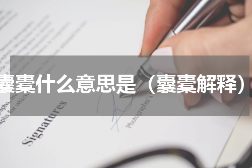 囊橐什么意思是（囊橐解释）