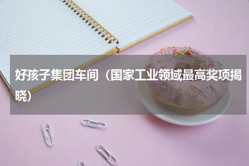 好孩子集团车间（国家工业领域最高奖项揭晓）