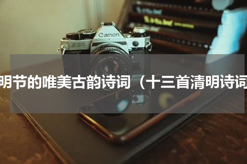 清明节的唯美古韵诗词（十三首清明诗词）