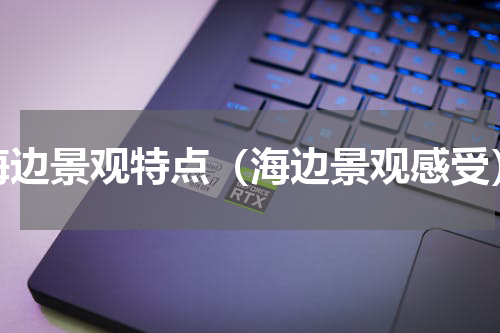 海边景观特点（海边景观感受）