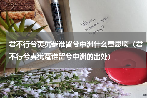 君不行兮夷犹蹇谁留兮中洲什么意思啊（君不行兮夷犹蹇谁留兮中洲的出处）