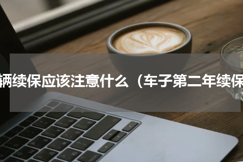 车辆续保应该注意什么（车子第二年续保）