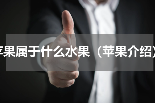 苹果属于什么水果（苹果介绍）
