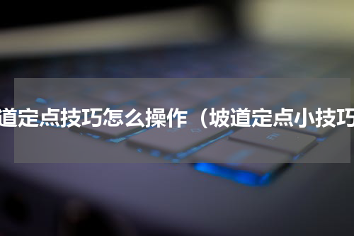 坡道定点技巧怎么操作（坡道定点小技巧）