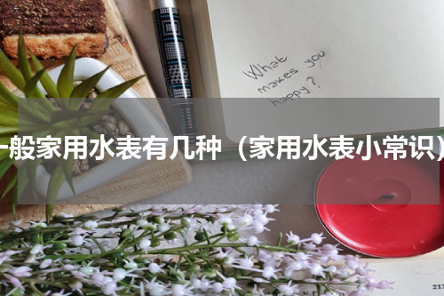 一般家用水表有几种（家用水表小常识）