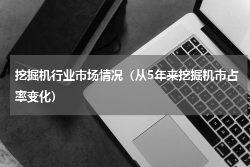 挖掘机行业市场情况（从5年来挖掘机市占率变化）