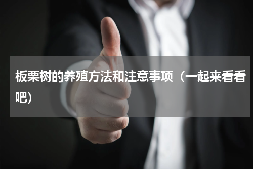 板栗树的养殖方法和注意事项（一起来看看吧）