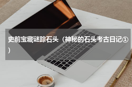 史前宝藏谜踪石头（神秘的石头考古日记①）