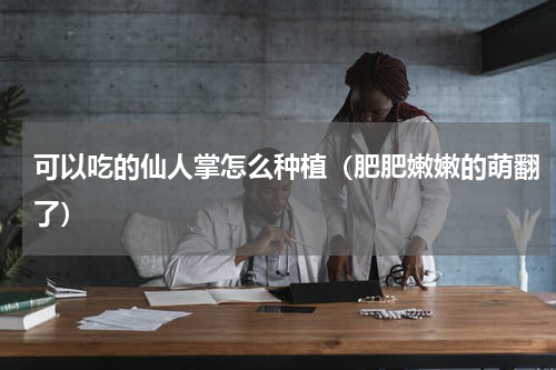 可以吃的仙人掌怎么种植（肥肥嫩嫩的萌翻了）