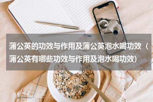 蒲公英的功效与作用及蒲公英泡水喝功效（蒲公英有哪些功效与作用及泡水喝功效）
