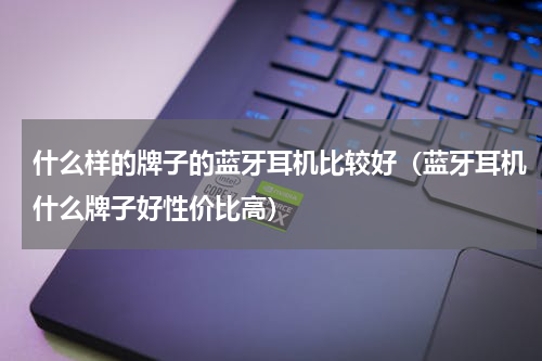 什么样的牌子的蓝牙耳机比较好（蓝牙耳机什么牌子好性价比高）