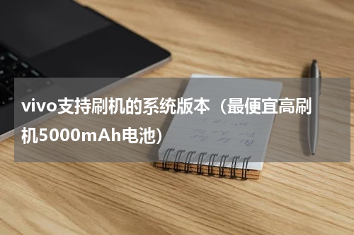 vivo支持刷机的系统版本（最便宜高刷机5000mAh电池）
