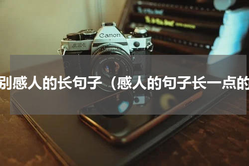 特别感人的长句子（感人的句子长一点的）
