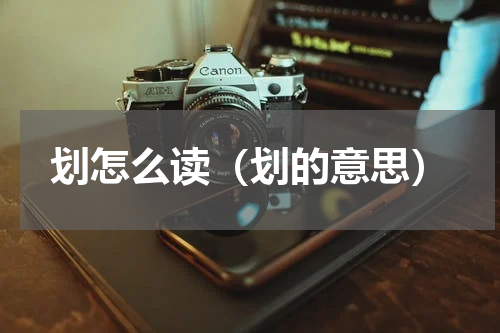 划怎么读（划的意思）