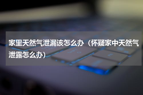 家里天然气泄漏该怎么办（怀疑家中天然气泄露怎么办）