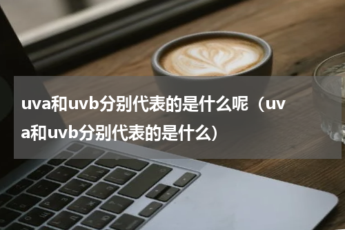 uva和uvb分别代表的是什么呢（uva和uvb分别代表的是什么）