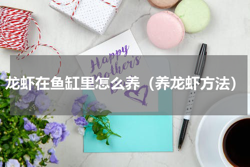 龙虾在鱼缸里怎么养（养龙虾方法）