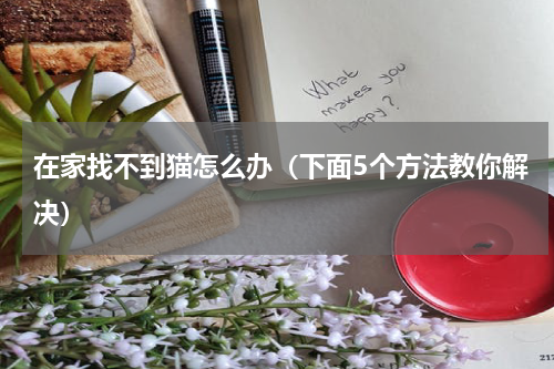 在家找不到猫怎么办（下面5个方法教你解决）