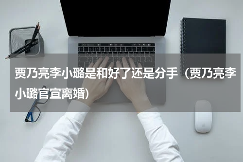 贾乃亮李小璐是和好了还是分手（贾乃亮李小璐官宣离婚）
