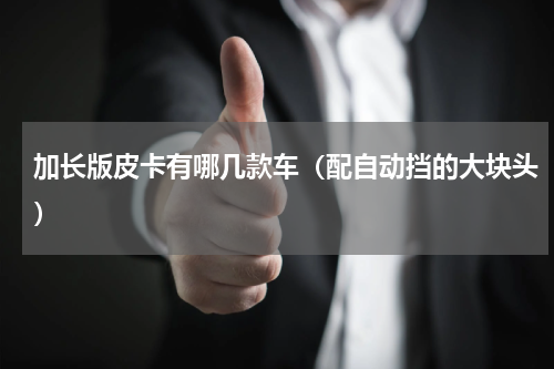 加长版皮卡有哪几款车（配自动挡的大块头）