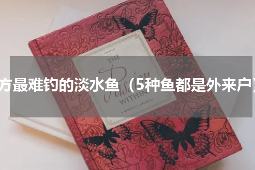 南方最难钓的淡水鱼（5种鱼都是外来户）
