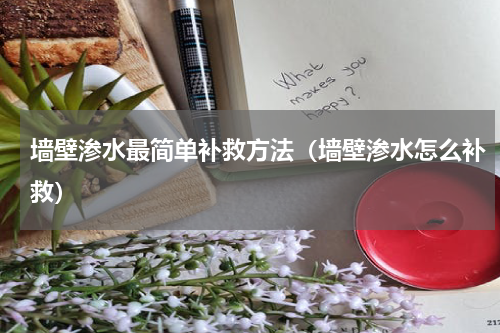 墙壁渗水最简单补救方法（墙壁渗水怎么补救）