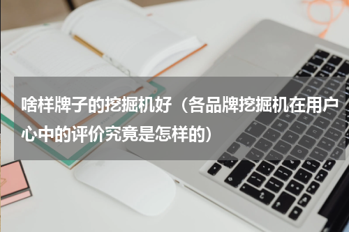 啥样牌子的挖掘机好（各品牌挖掘机在用户心中的评价究竟是怎样的）