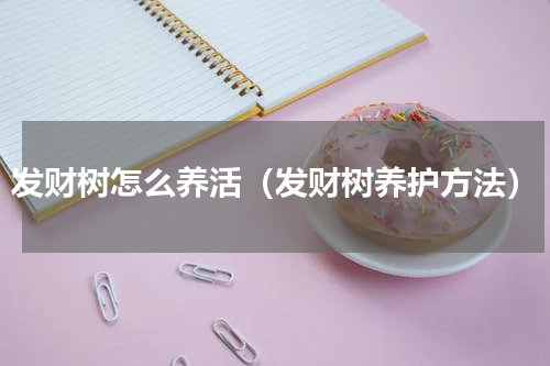 发财树怎么养活（发财树养护方法）