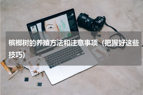 槟榔树的养殖方法和注意事项（把握好这些技巧）